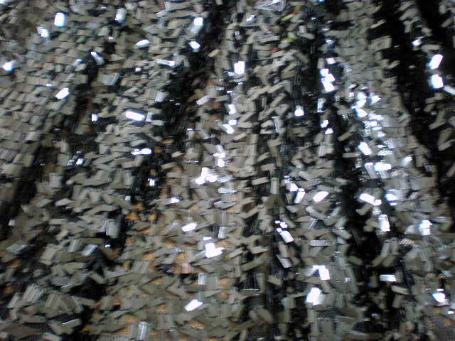 8.Black La Sequins